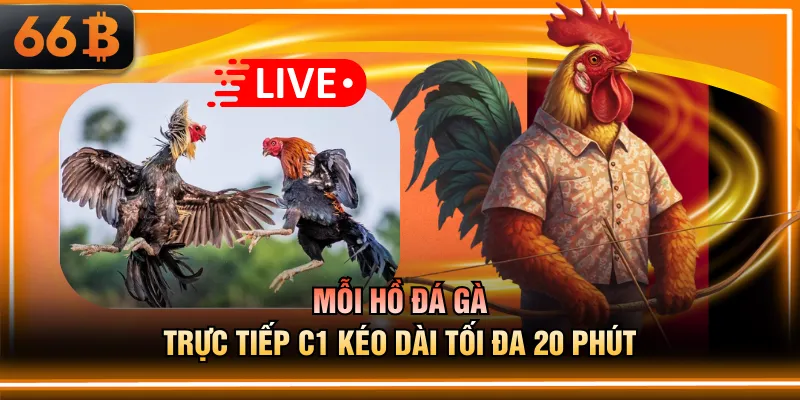 Mỗi hồ đá gà trực tiếp C1 kéo dài tối đa 20 phút